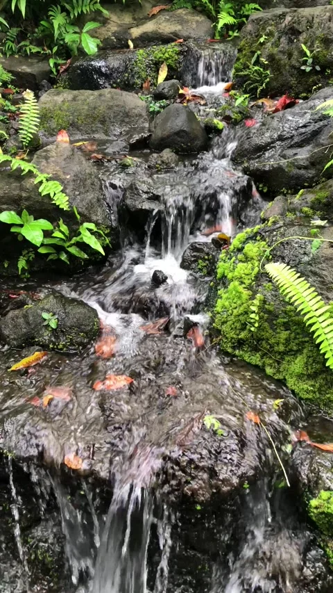 Natural forest water stream flowing over rocks tropical relaxation background Stock Footage 332227552