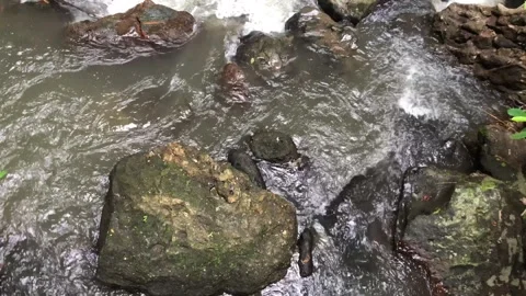 Natural forest water stream flowing over rocks tropical relaxation background Stock Footage 332227558