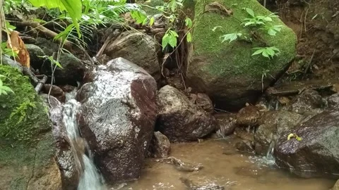 Natural Forest Waterfall Between Rocks – Fresh Jungle Cascade Stock Footage 329781201
