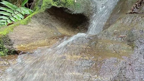 Natural Forest Waterfall Flowing Over Mossy Rocks Clear Tropical Jungle Stream Stock Footage 329779101
