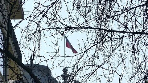 Natural frame of leafless tree branches during winter. Stock Footage 94979528