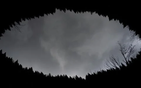 Natural frame made of trees and tree branches that surround the cloudy sky Stock Photos