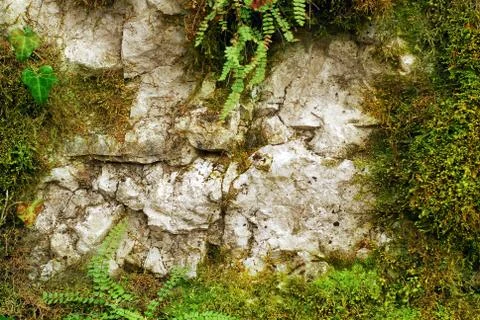 Natural frame Foto stock