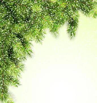 Natural Framework with Fir Twigs Stock Illustration