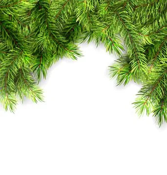 Natural Framework with Fir Twigs Stock Illustration
