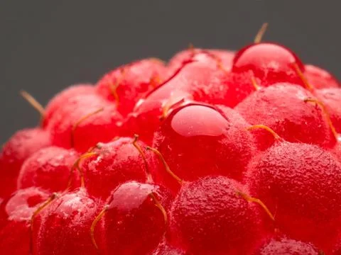 Natural fresh raspberry berry macro vitamins for humans on a dark background. 스톡 사진