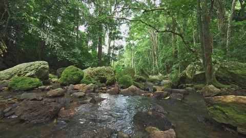 Natural fresh water stream between stones Stock Footage 331229689