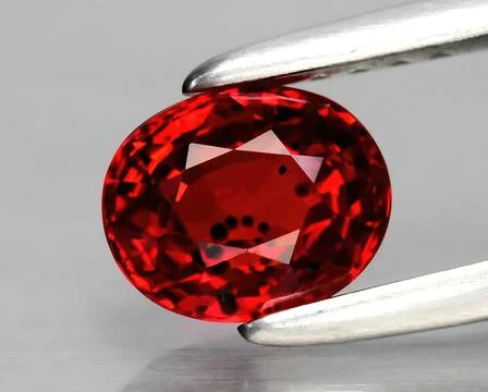 Natural gemstone red ruby in tongs on a gray background 写真素材