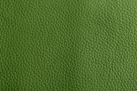 Natural, genuine solid green leather texture close up, macro. Structure of ma Stock Photos