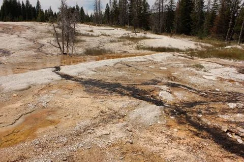 Natural geothermal features create unique landscape in national park during.. Stock Photos