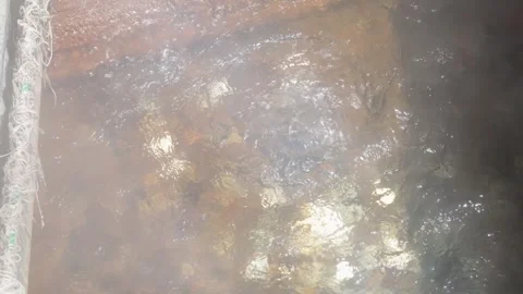 Natural Geothermal Hot Spring with Hot Boiling Water with vapour Stock Footage 345253594