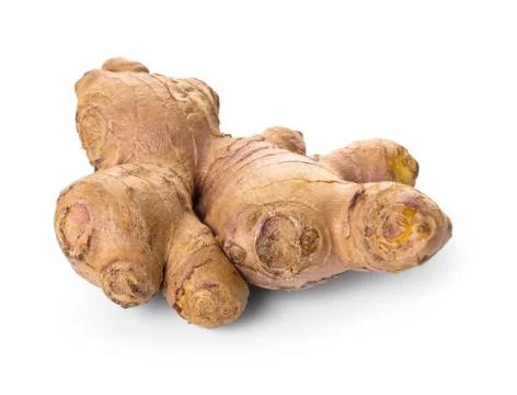 Natural ginger root Stock Photos