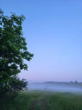 Natural gradient of the evening sky over a foggy forest, environmental condition Stock-Fotos