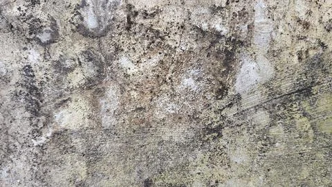 Natural granite stone texture background with detailed mineral patterns 스톡 사진