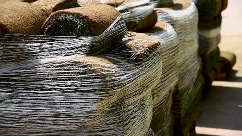 Natural grass in rolls 库存影片 270305880