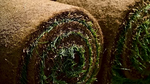 Natural grass in rolls Stock Footage 273197563