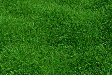 Natural grass texture pattern background. Top view grassy lawn for environmental Stock Illustration