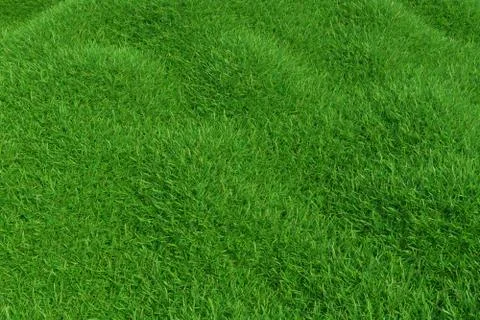 Natural grass texture pattern background. Top view grassy lawn for environmental Stock Illustration