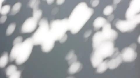 Natural gray bokeh background Stock Footage 24508531