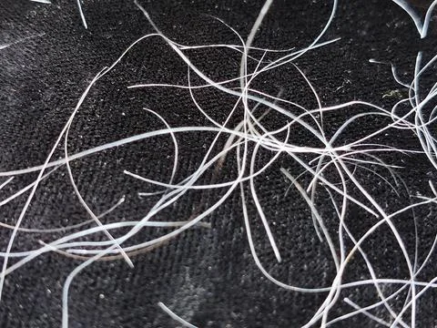 Natural gray hair texture on a solid black background, macro photography style. Foto stock