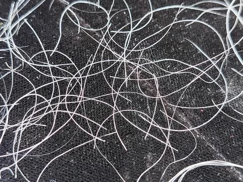 Natural gray hair texture on a solid black background, macro photography style. Foto stock