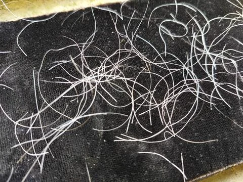 Natural gray hair texture on a solid black background, macro photography style. Foto stock