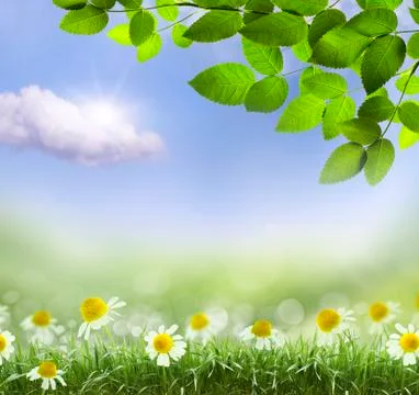 Natural green background Stock Illustration