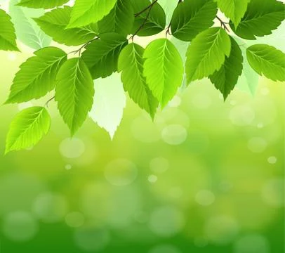 Natural green background with selective focus Stock-Illustration