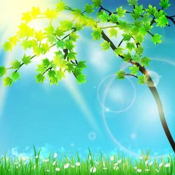 Natural green background with selective focus. Stock Illustration