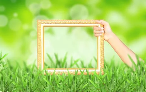 Natural green blurred background and framework. Illustrazione stock