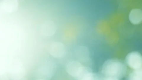Natural green blurred background Stock Footage 108571050