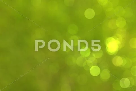 Natural green blurred background Stock Photos