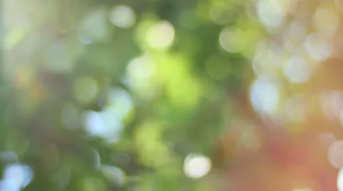 natural green bokeh background | Stock Video | Pond5