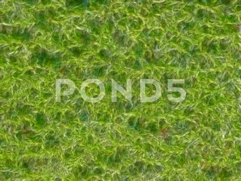 Natural green grass and leaves textured background Stock Illustration