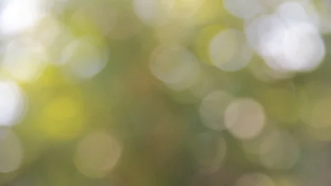 Natural green motion background Stock Footage 76848001