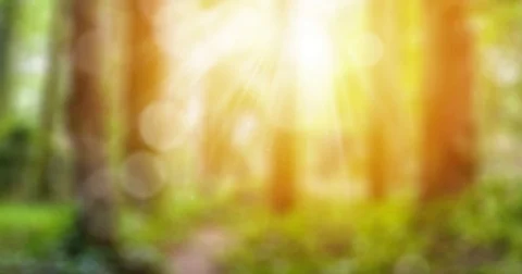 Natural green motion background Stock Footage 82747355