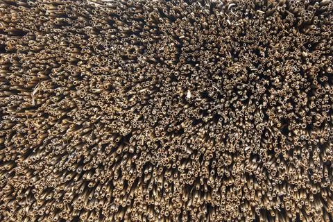 Natural haystack background. 스톡 사진