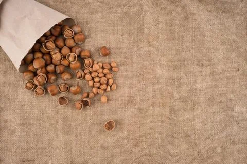 Natural hazelnuts on the background of old sacking. Top view. 스톡 사진