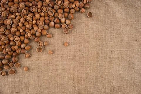 Natural hazelnuts on the background of old sacking. Stock Photos