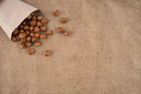 Natural hazelnuts on the background of old sacking. 스톡 사진