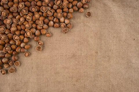 Natural hazelnuts on the background of old sacking. Stock Photos