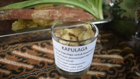 “Natural Healing in Java: The Legacy of Traditional Herbal Medicine” Stock Footage 263130449