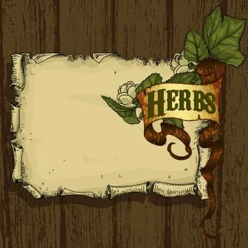Natural herbs Stock Illustration