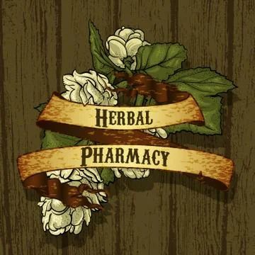 Natural herbs Stock Illustration