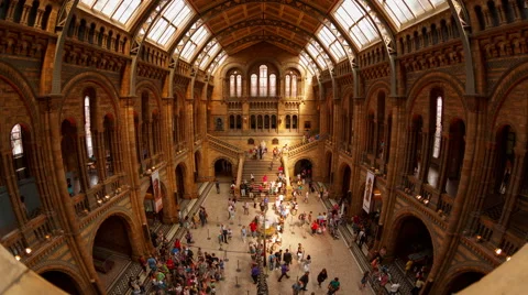 Natural History Museum Indoor Timelapse Stock Footage