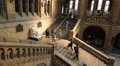 Natural History Museum. London. HD Footage