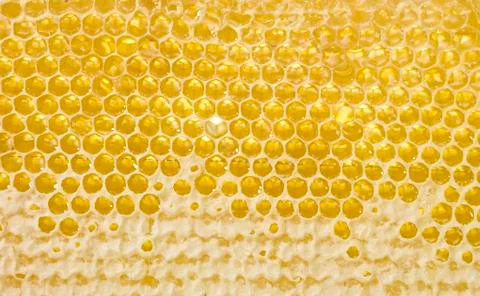 Natural honey comb hexagonal texture, closeup photo Stock-Fotos