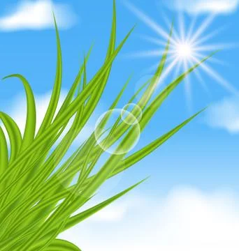 Natural illuminated background with green grass Stockillustratie
