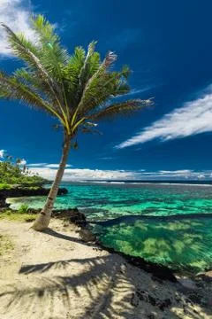 Natural infinity rock pool with palm trees over tropical ocean lagoon Stock Photos