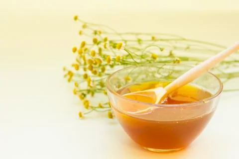 Natural ingridients for body care Foto stock